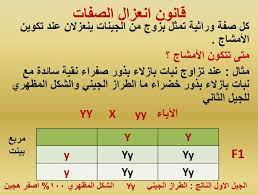 <yoastmark class=
