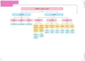 المعرب والمبني 