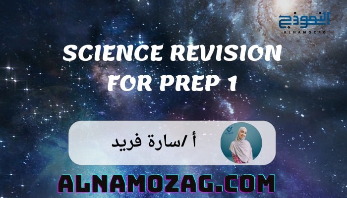 Science revision for prep 1