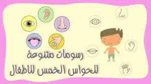كيفية زيادة قدرات حواس الأطفال