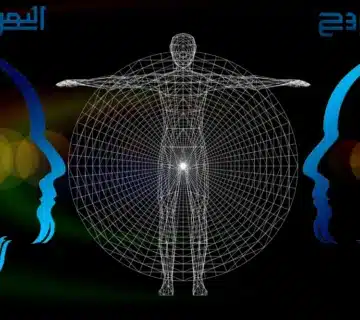 الجانب النفسي في إدراك الحساسية