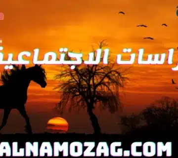 الدراسات الاجتماعية