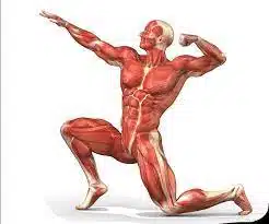 مادة الاحياء للثانوية العامة على منصة النموذج 3 مادة الاحياء للثانوية العامة على منصة النموذج