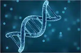 الاحياء الصف الثالث الثانوي 3 الاحياء الصف الثالث الثانوي