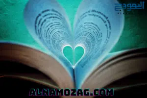 المجال التعليمي