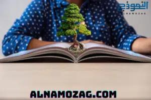 المنظومة التعليمية