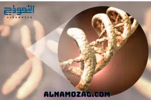 دور الجينات