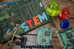 نظام التعليم STEM